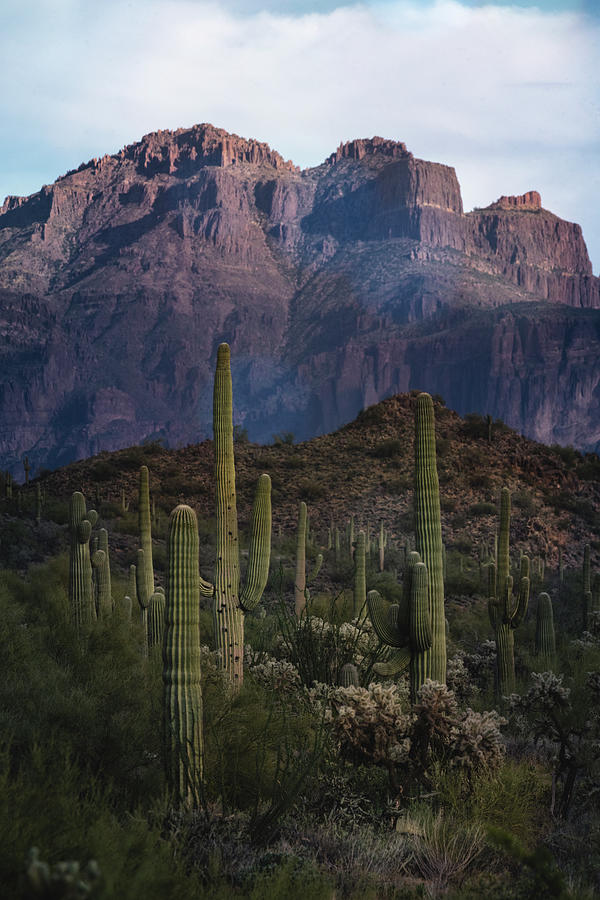 The Many Layers Of The Desert Photograph by Saija Lehtonen | Pixels