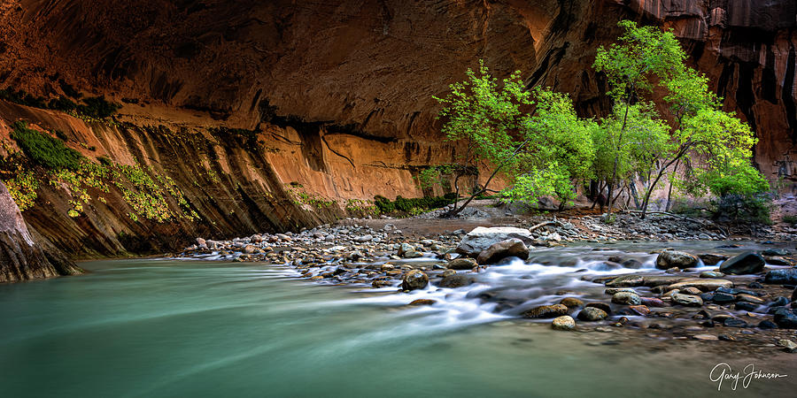 The Narrows in Zion #2 Photograph by Gary Johnson