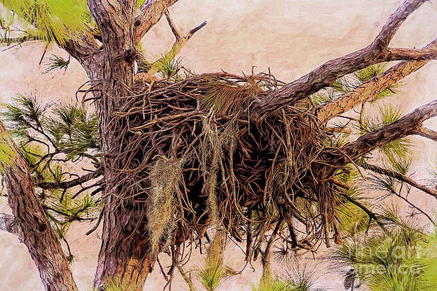 The Nest #2 Painting by Deborah Benoit
