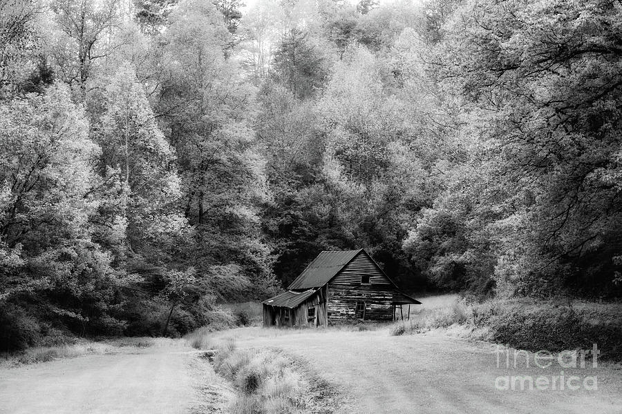The Old Homestead #1 Photograph by Nicki McManus