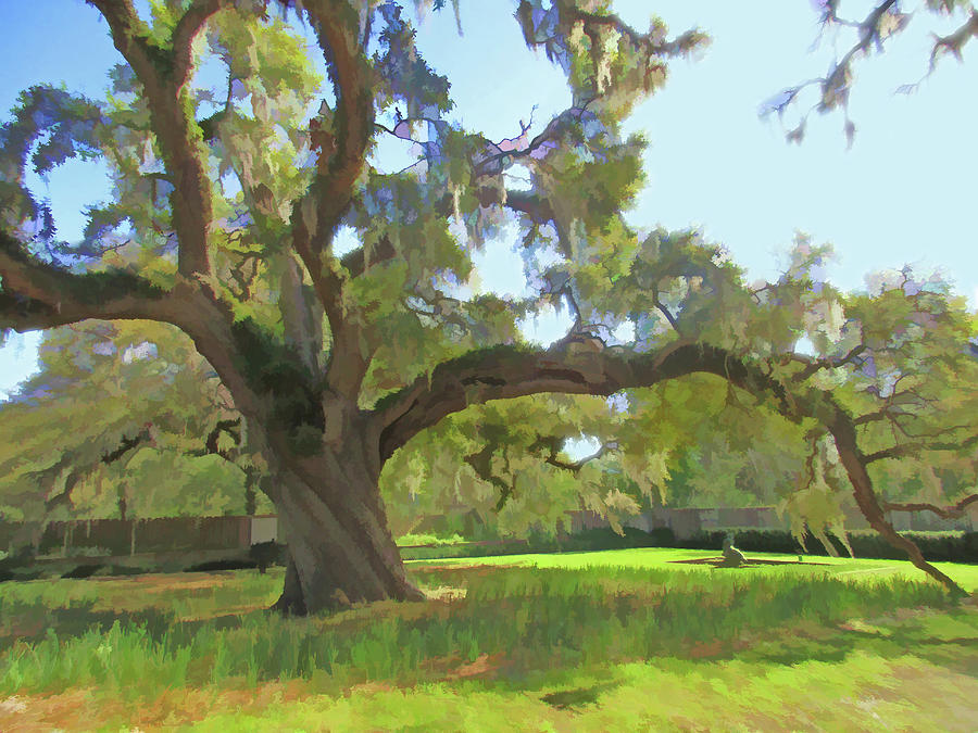 The Old Oak Tree #1 Digital Art by Richard Stedman