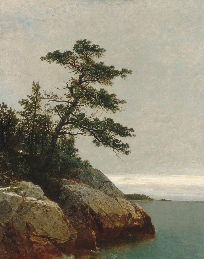 The Old Pine Darien Connecticut, from 1872 Painting by John Frederick Kensett
