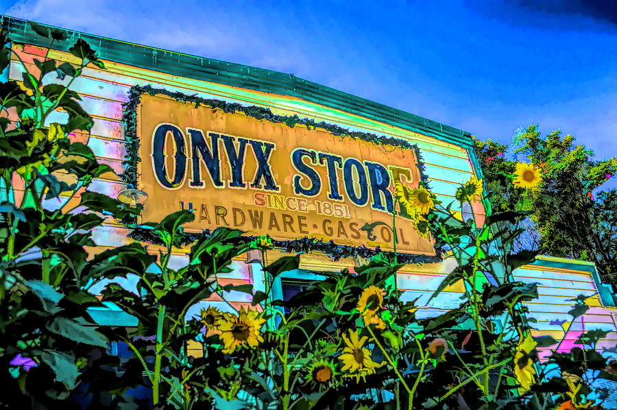 The Onyx Store Sunflowers #1 Photograph by Barbara Snyder