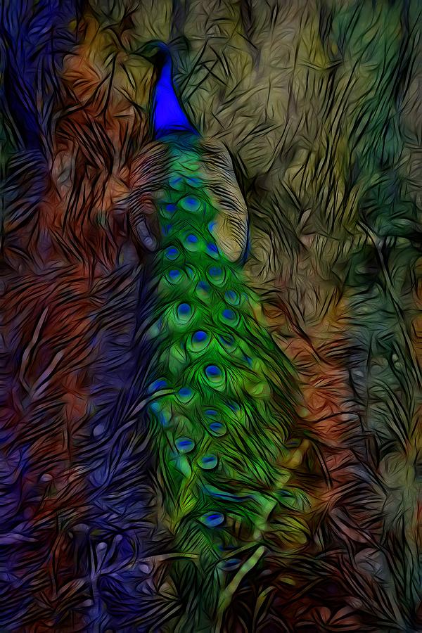 Peacock Digital Art - The Peacock #1 by Ernest Echols