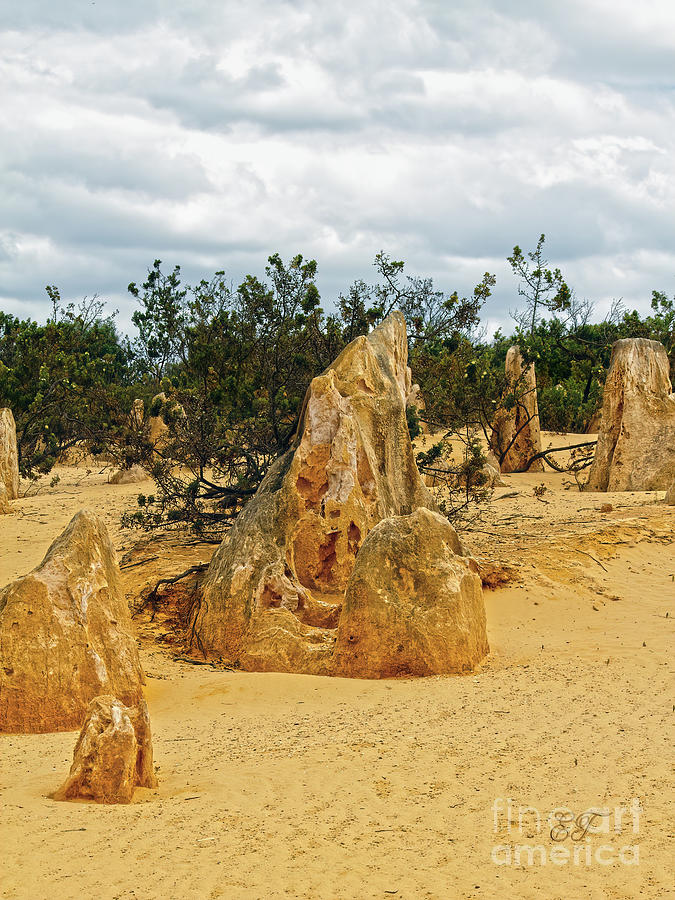 The Pinnacles, Cervantes, Western Australia 4 Photograph by Elaine Teague