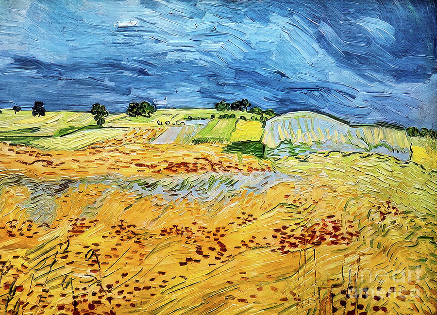 The Plain at Auvers by Vincent Van Gogh 1890 Painting by Vincent Van ...