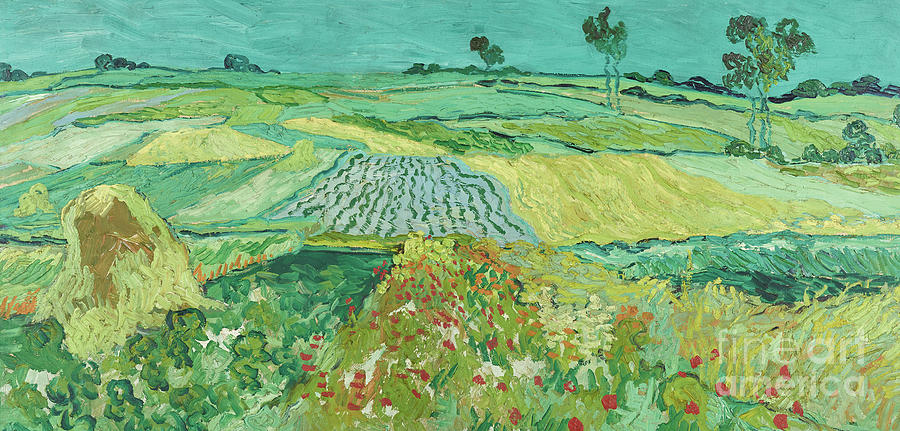 Vincent Van Gogh Painting - The plain near Auvers, 1890 by Vincent van Gogh