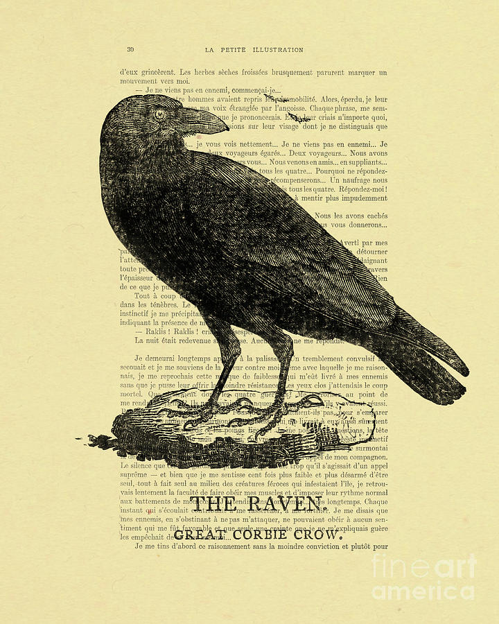 Raven Mixed Media - The Raven #1 by Madame Memento
