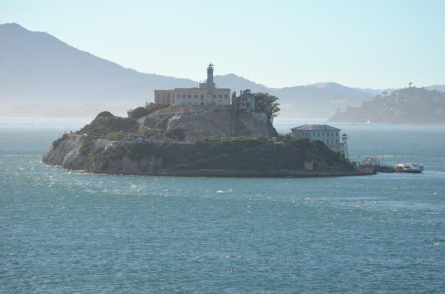 Portrait of The Rock Alcatraz Island in San Francisco Bay Photograph by Shawn OBrien
