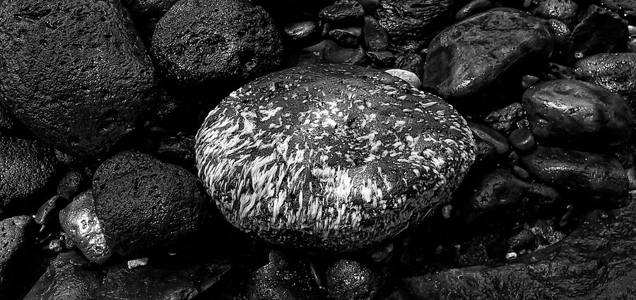 The Rock by Eric Wiles The Rock by Eric Wiles