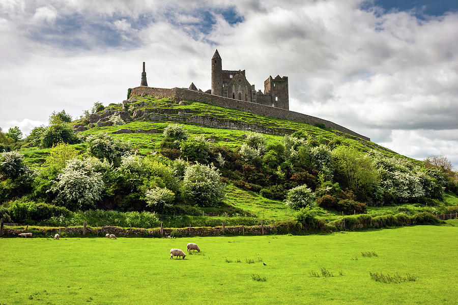 The Rock of Cashel Ireland in summer #1 Photograph by Pierre Leclerc Photography