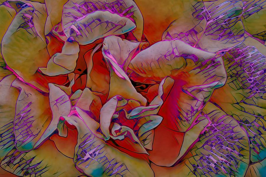 The Rose Abstract #1 Digital Art by Ernest Echols