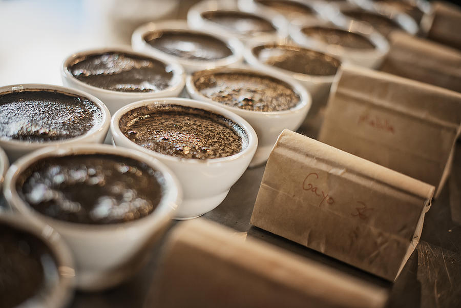 The sampling procedure in a coffee processing shed, where staff make coffee in small pots and sample the taste to test the blend. #1 Photograph by Mint Images/ Tim Pannell