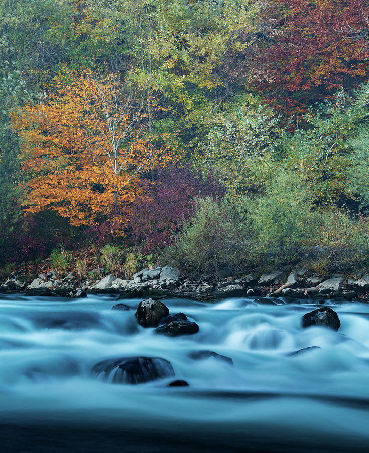 The Sava River in Autumn #1 Photograph by Ian Middleton