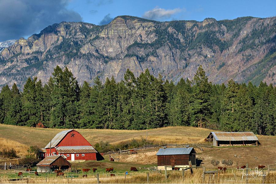 The Skimmerhorn Barn Photograph by Than Widner Photography | Fine Art