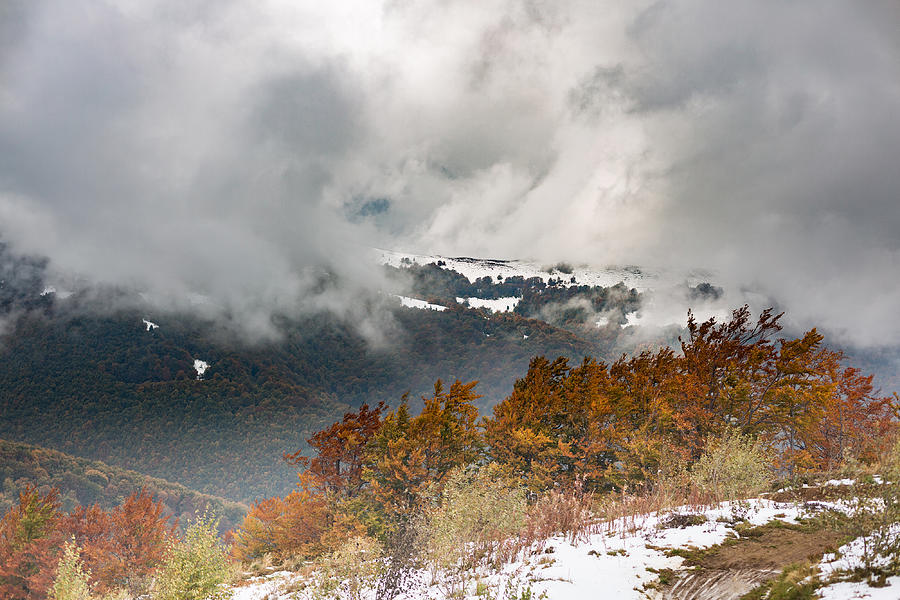 The slope with snow and beautiful, colorful autumn trees #1 Photograph by Rrvachov