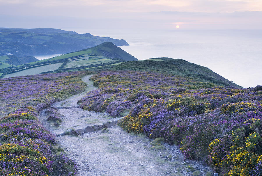 The South West Coast Path descending Great Hangman towards Little Hangman and Combe Martin Bay. Exmoor National Park. Devon. England. UK. #1 Photograph by James Osmond