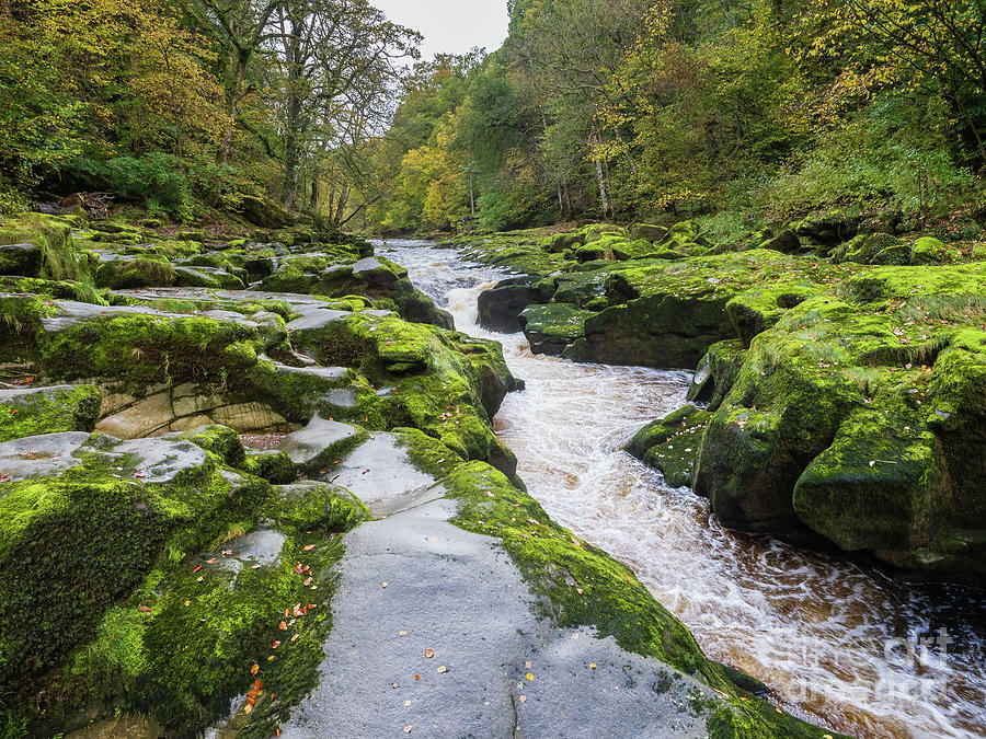 The Strid, River Wharfe, Near Bolton Abbey Photograph By Rambling Tog 