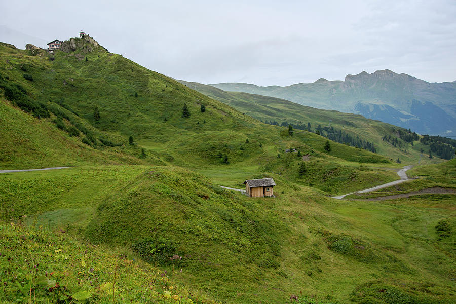 The Swiss Alps Photograph by Eleanor Bortnick | Fine Art America