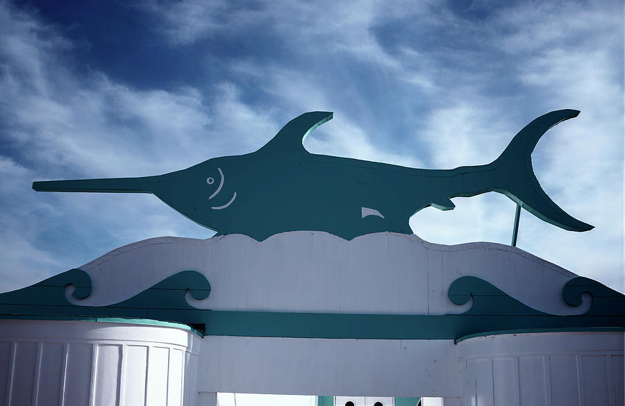 The Swordfish Photograph by Steve Gravano Fine Art America