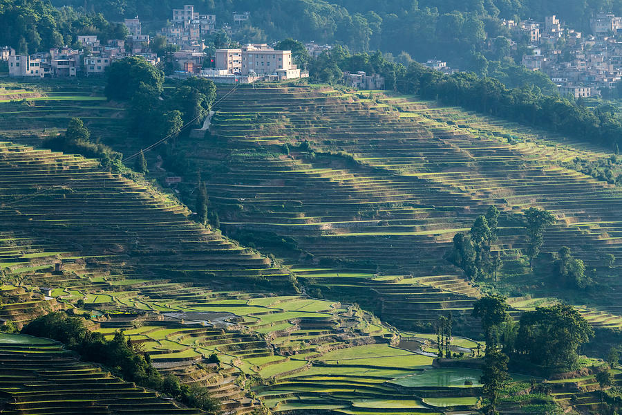 The terraced fields at spring time #1 Photograph by Zhouyousifang