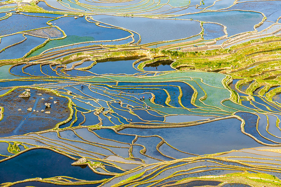 The terraced fields of spring and the people working in the terraced fields #1 Photograph by Zhouyousifang