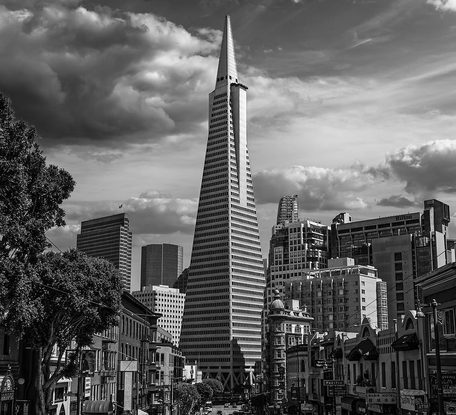 The Transamerica Pyramid Photograph by Paul Wasneski | Fine Art America