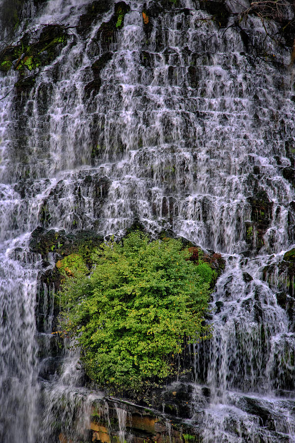 The Tree in the Falls #1 Photograph by George Taylor