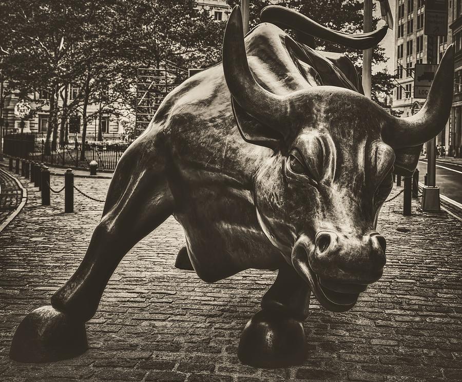 New York City Photograph - The Wall Street Bull #1 by Mountain Dreams