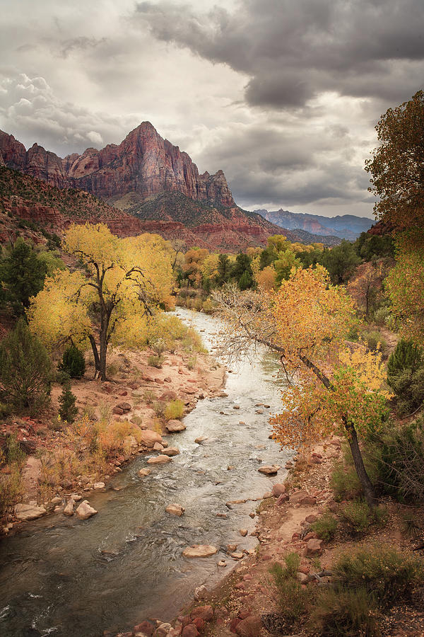 Zion National Park Photograph - The Watchman, Zion National Park #1 by Peter OReilly