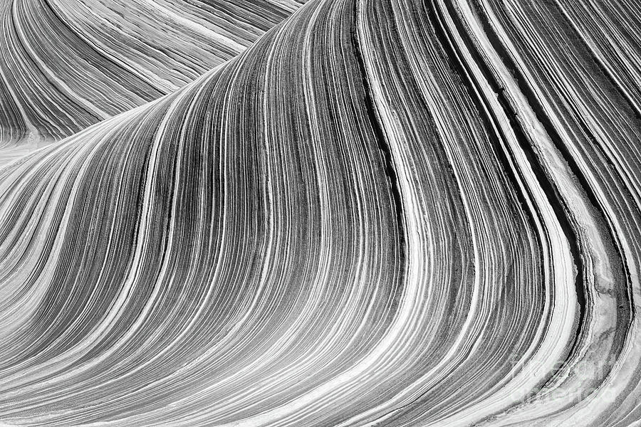 The Wave in Black and White #1 Photograph by Henk Meijer Photography