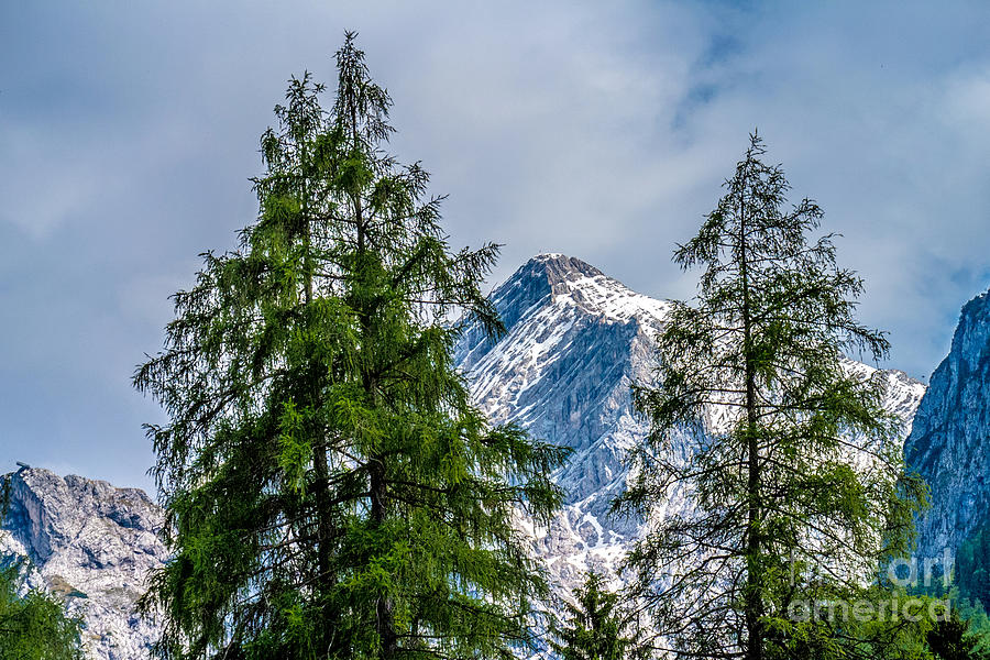 The Zugspitze Photograph