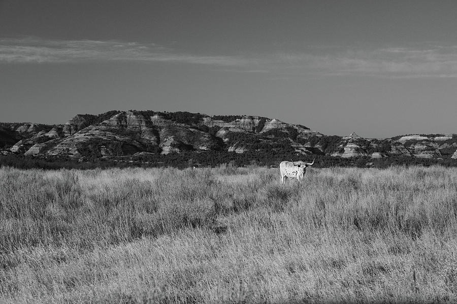 Theodore Roosevelt National Park in North Dakota in black and white #2 Photograph by Eldon McGraw