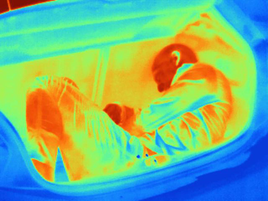 Thermal image illustrating people smuggling #1 Photograph by Joseph Giacomin