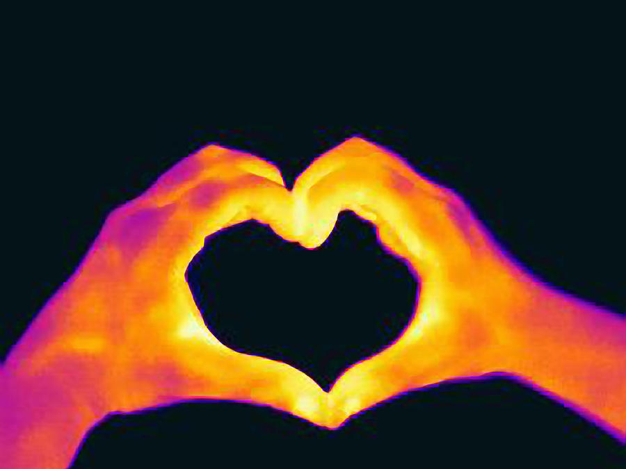 Thermal image of womans hands making a heart shape #1 Photograph by Joseph Giacomin
