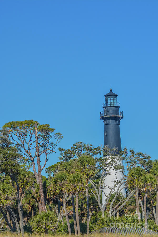 This Lighthouse Is On Hunting Island. A Barrier Island On The Atlantic Ocean, Beaufort County, South Photograph