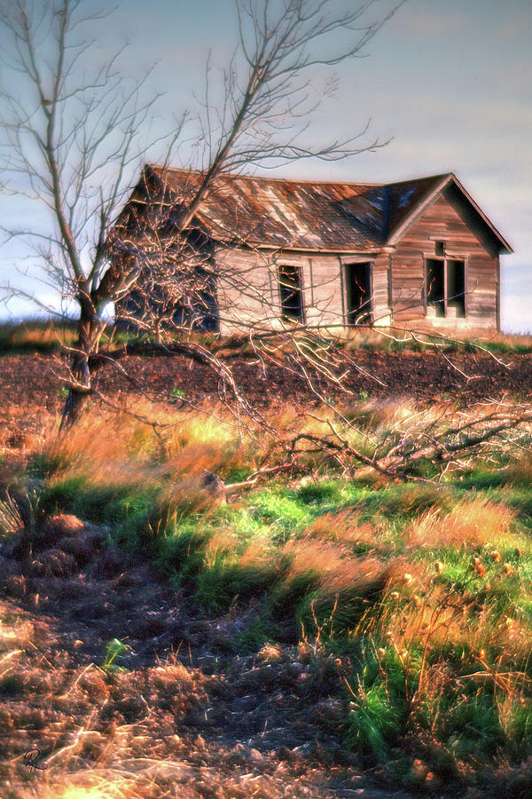 This Old House Photograph by Robert Harris