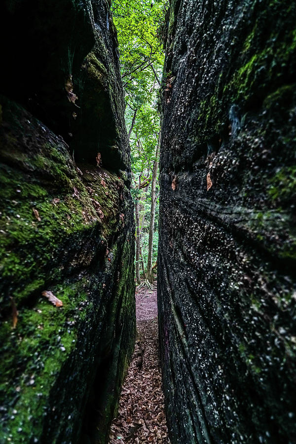 Forest Photograph - Thompson Ledges Park by Ric Schafer Forest Photograph - Thompson Ledges Park by Ric Schafer