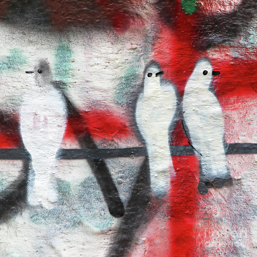 Three Birds #1 Photograph by Munir Alawi