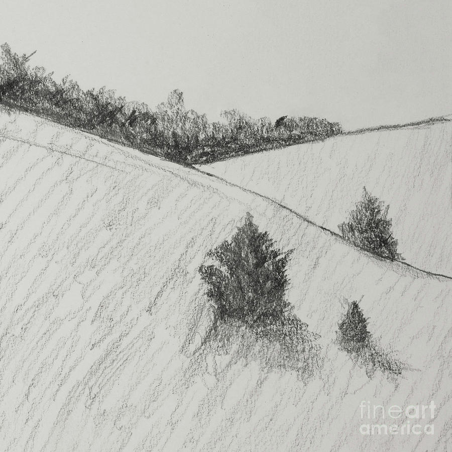 Three Cedars #1 Drawing by Garry McMichael