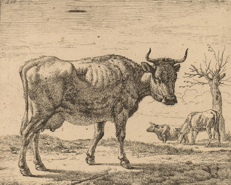 Three Cows #2 Drawing by Adriaen van de Velde