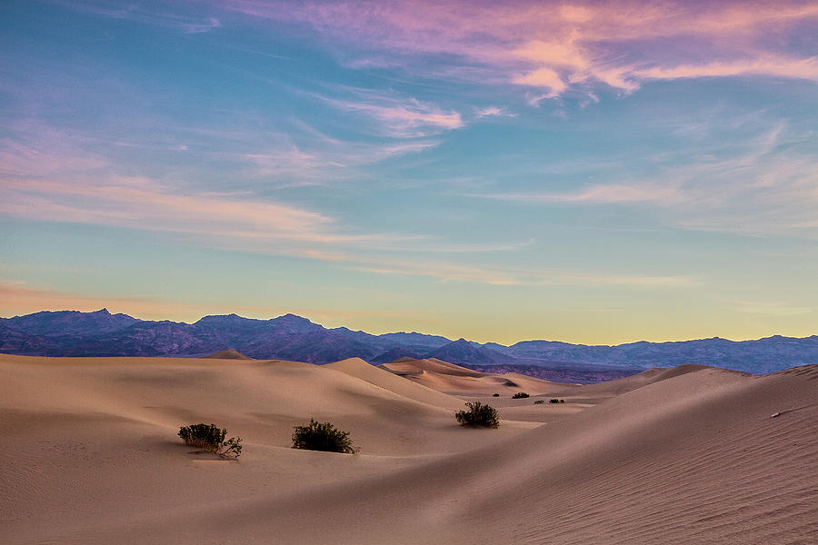 Three in the Sand II by Jon Glaser Three in the Sand II by Jon Glaser