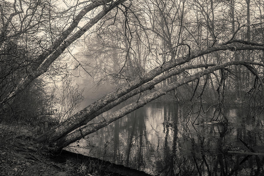 Three Mile River XV Toned Photograph by David Gordon