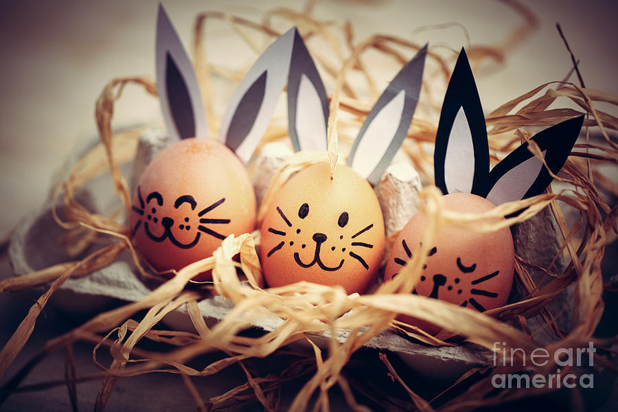 Three Painted Smiling Easter Eggs Bunnies Sitting In An Egg Carton. Photograph