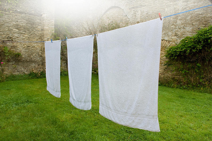 Three white towels on clothes line in walled garden #1 Photograph by Henry Arden