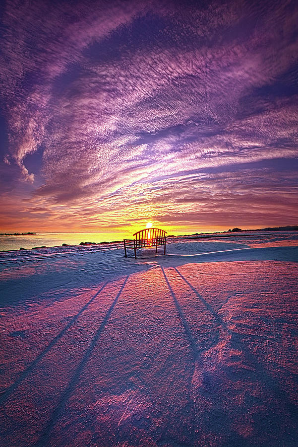Thy Will Be Done #1 Photograph by Phil Koch