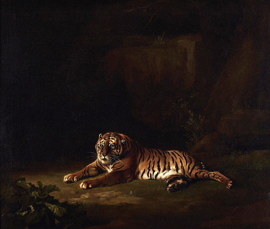 George Stubbs Painting - Tiger  #1 by George Stubbs
