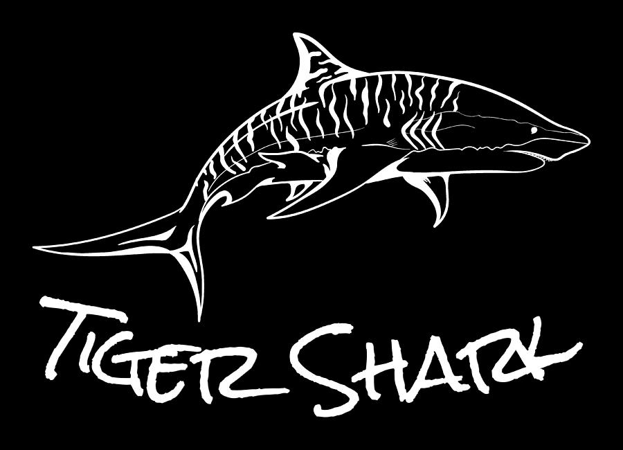 How to draw a Tiger shark - YouTube