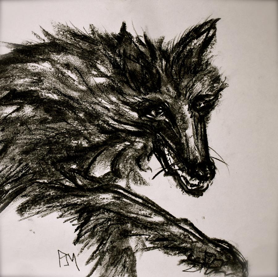 Timberwolf II Drawing by Pete Maier