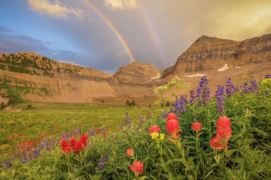 Mountain Photograph - Timp Rainbow #1 by Wasatch Light